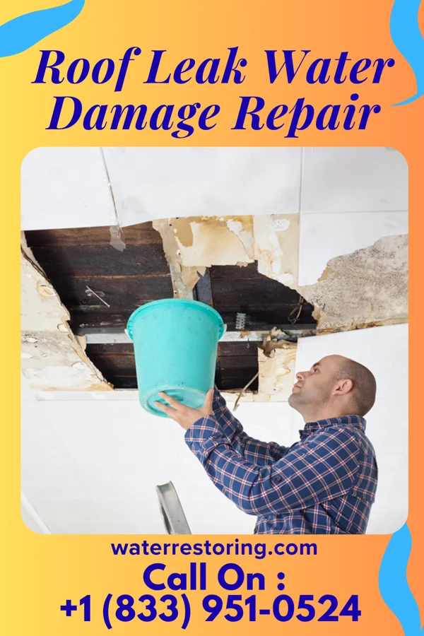Roof Leak Water Damage Repair in Waynesburg, PA
