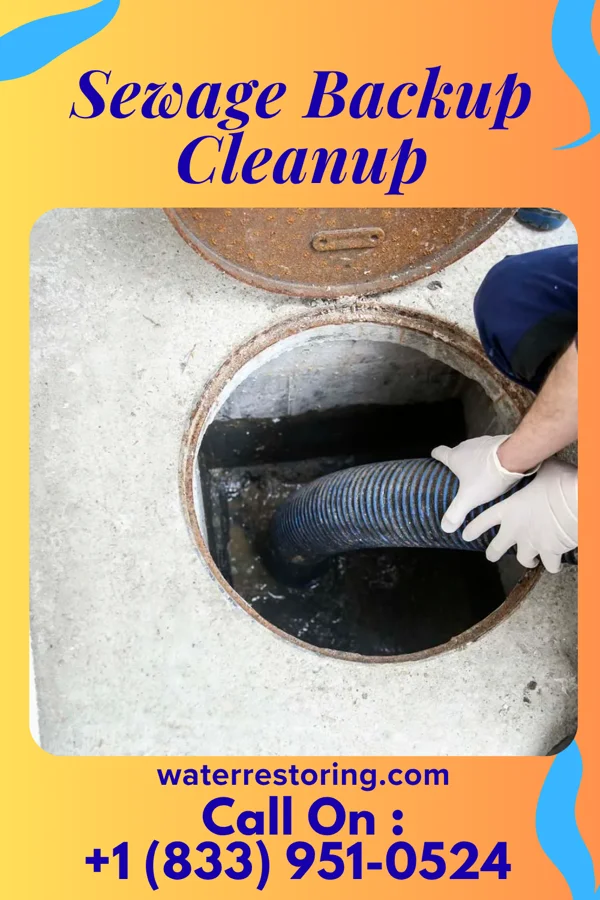 Sewage Backup Cleanup in Waynesburg, PA