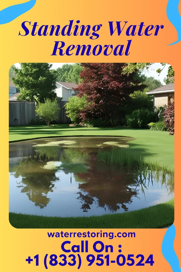 Standing Water Removal in Waynesburg, PA